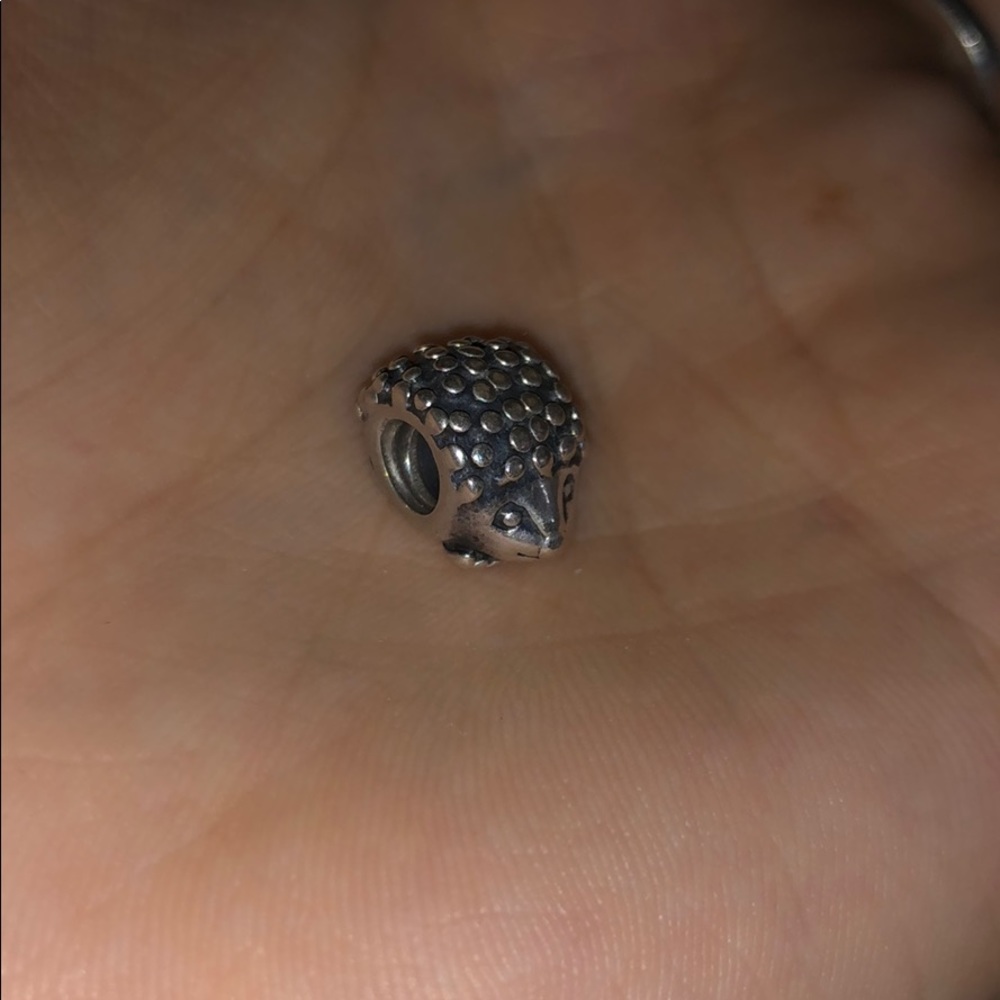 Authentic pandora charm